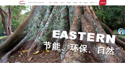 伊士頓電梯（中國(guó)）集團(tuán)
